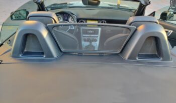 Mercedes SLK 350 BlueEffinciency  AMG Styling lleno
